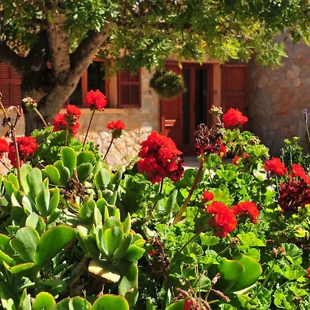 Finca Cavall De Mar * Manacor (Mallorca)